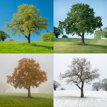 Blog post image